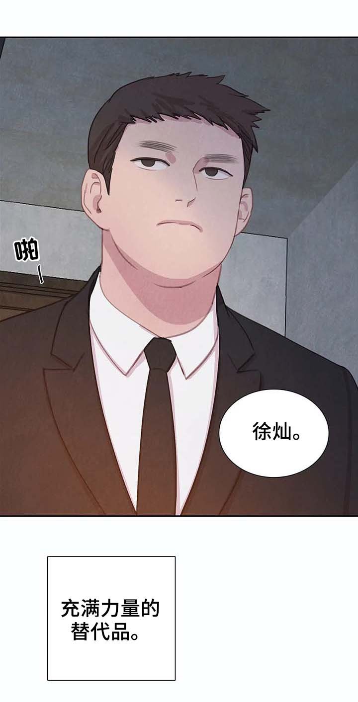 第36章：替代品