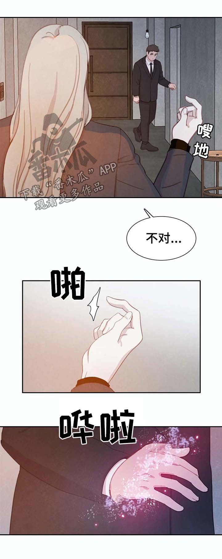 第36章：替代品
