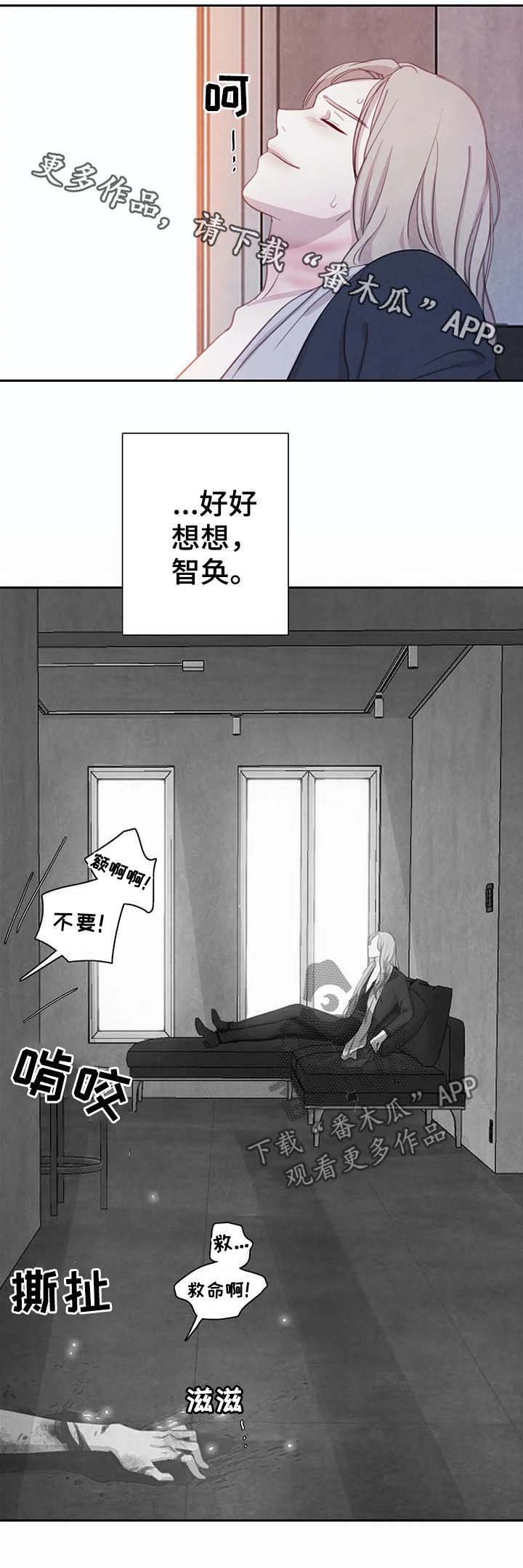 第36章：替代品