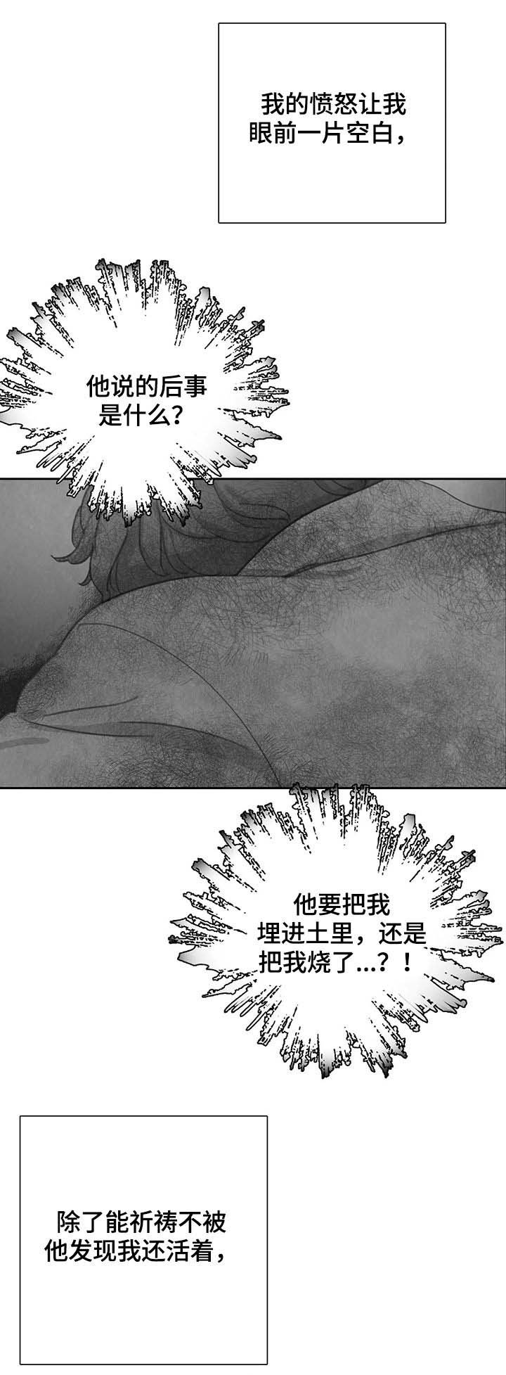 第39章：动起来