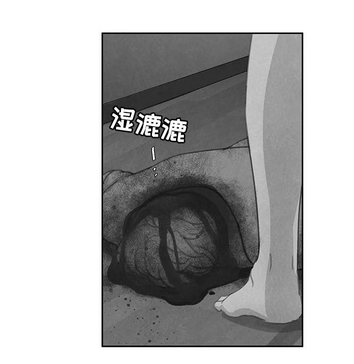 第39章：动起来