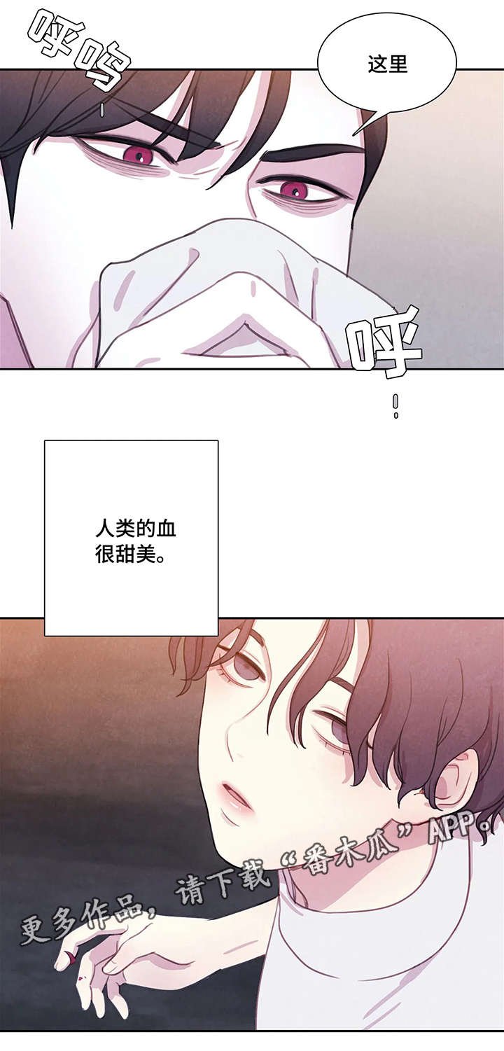 第4章：兴奋