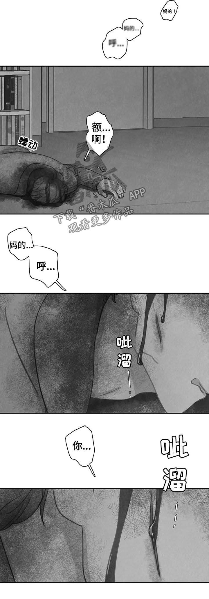 第40章：找回我的东西