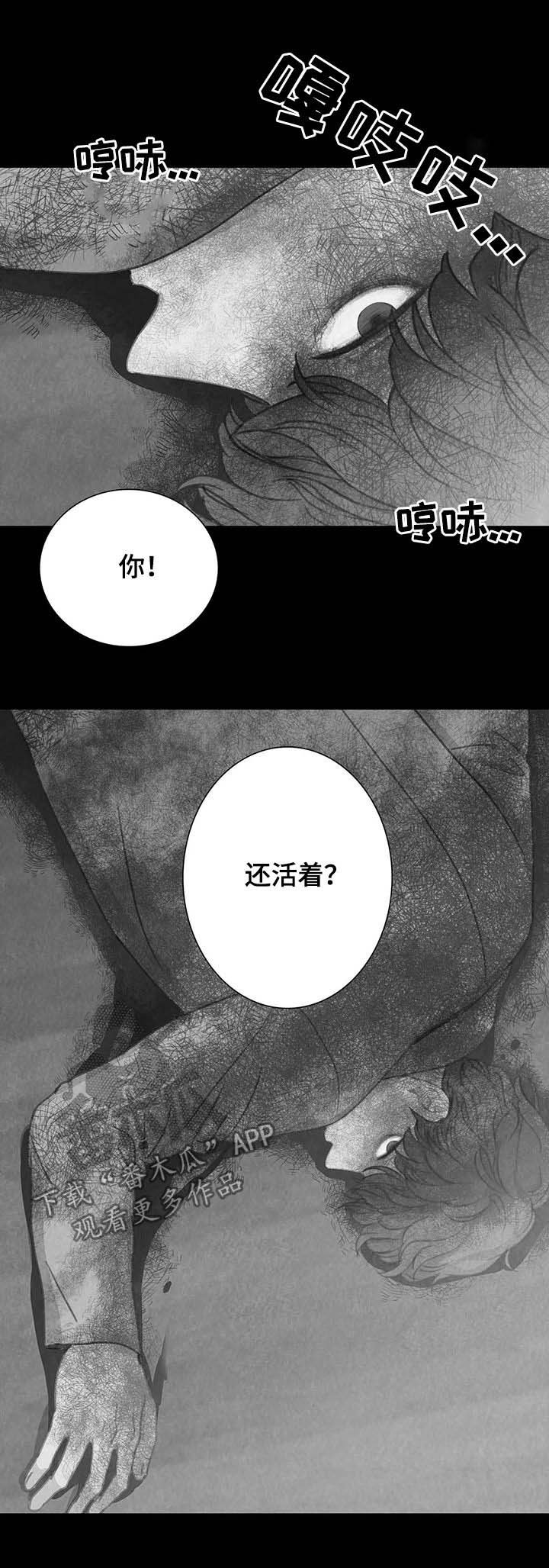 第40章：找回我的东西