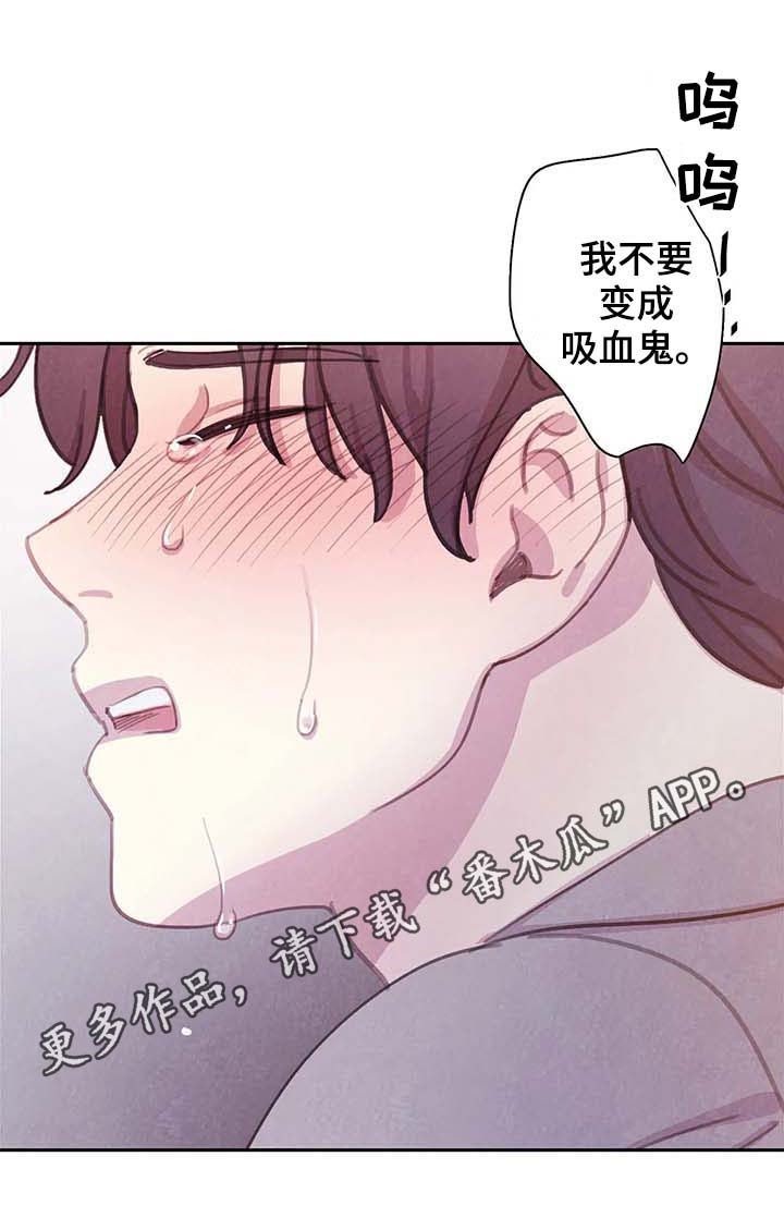 第50章：更加的绝望（第一季完结）