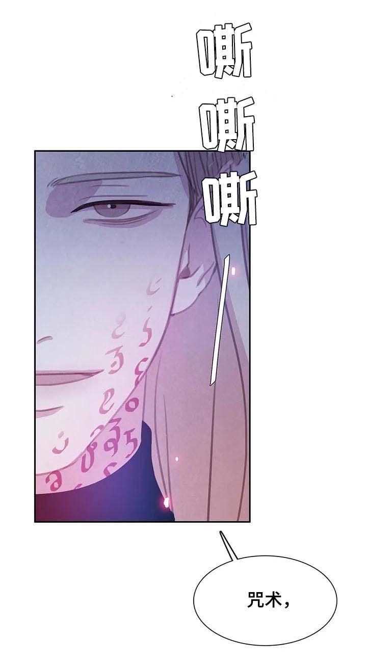第77章：【第二季】咒术