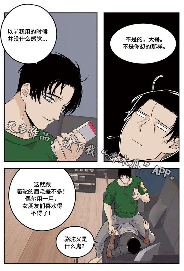 第12章：活动