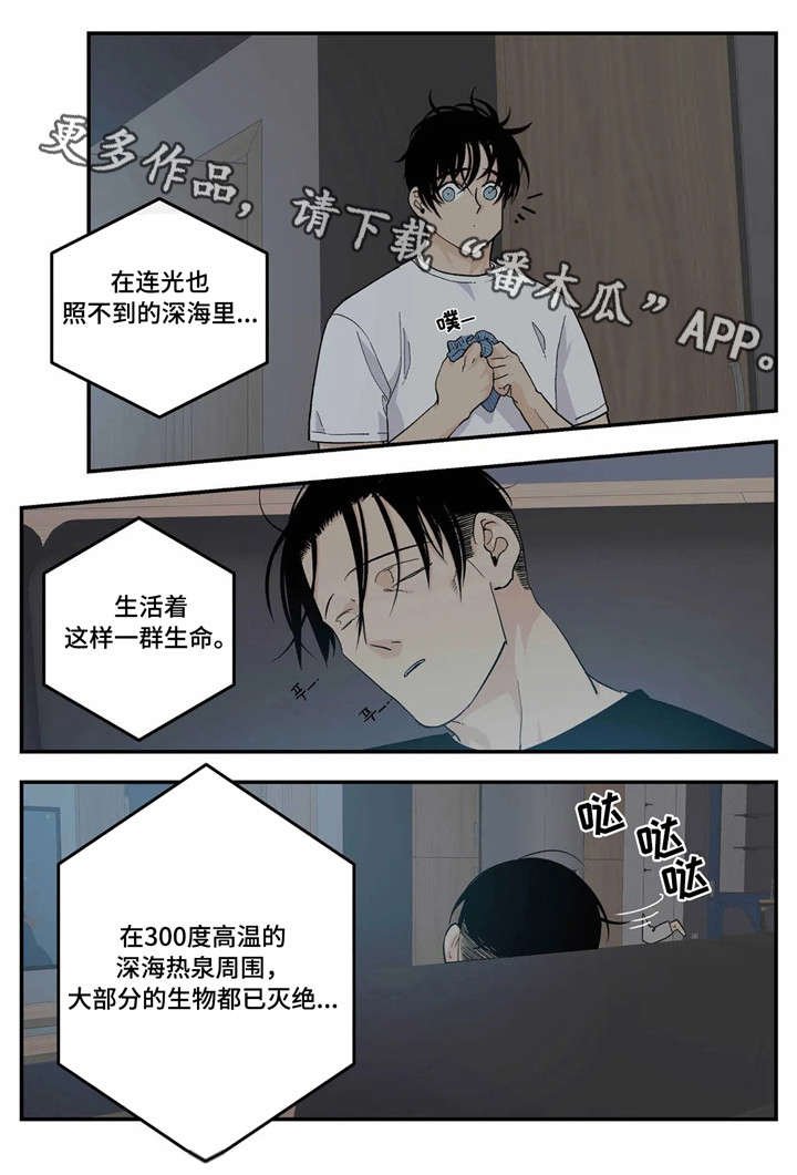 第14章：马仔