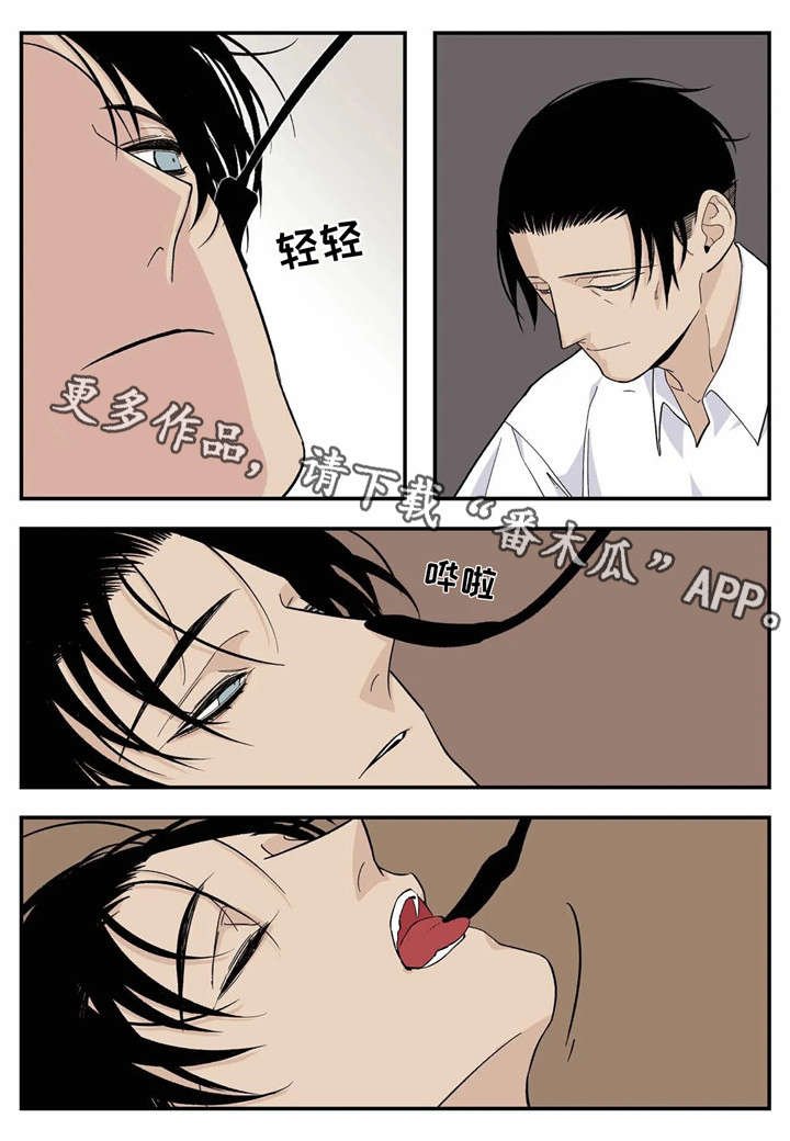 第16章：不要