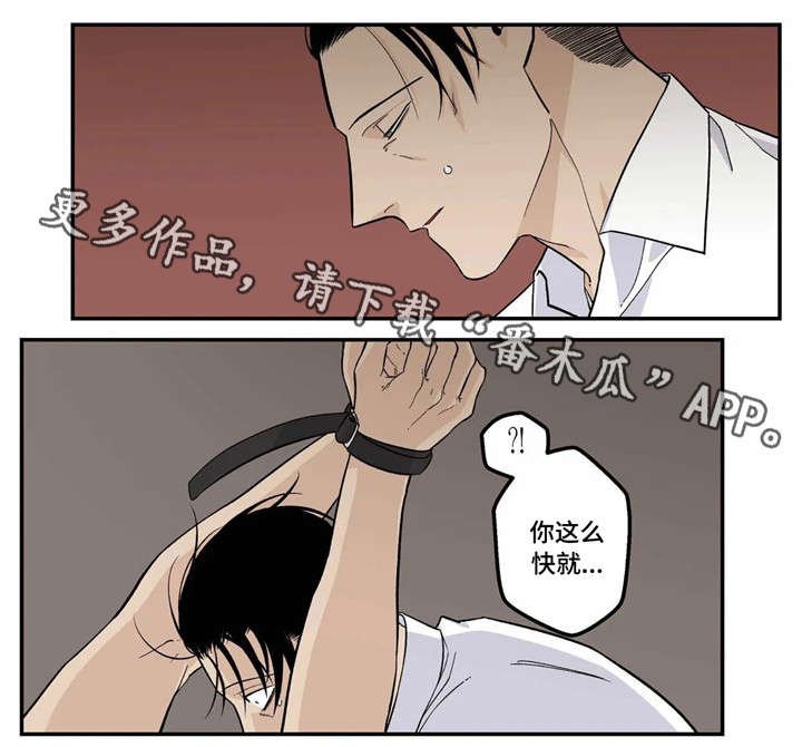 第16章：不要