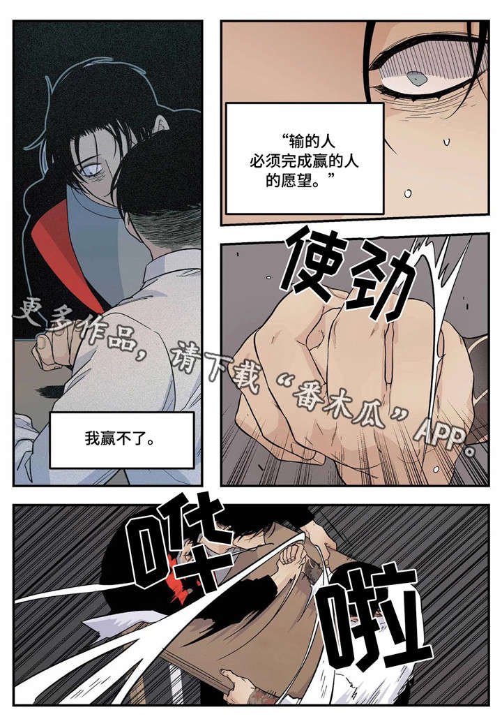 第19章：愿望
