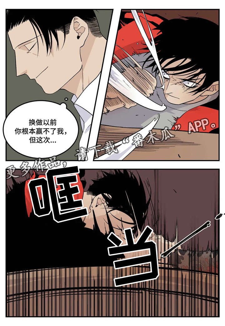 第19章：愿望