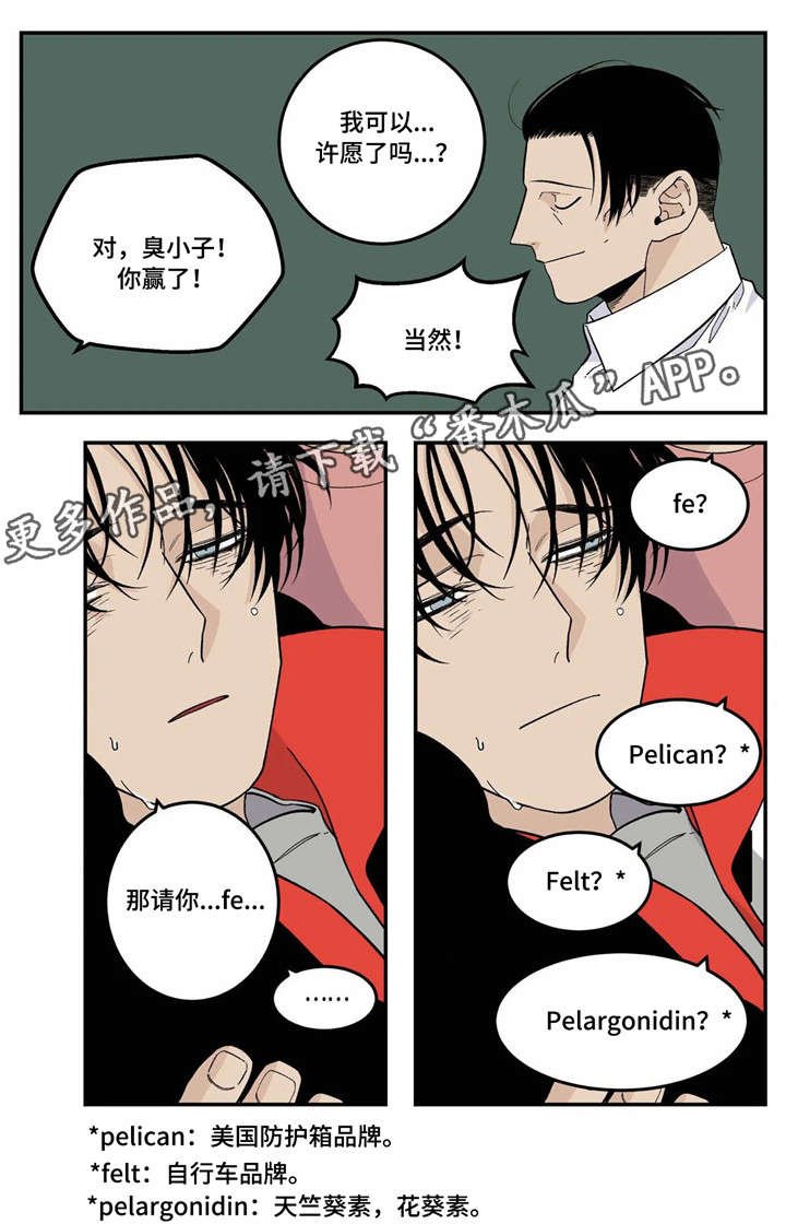 第19章：愿望