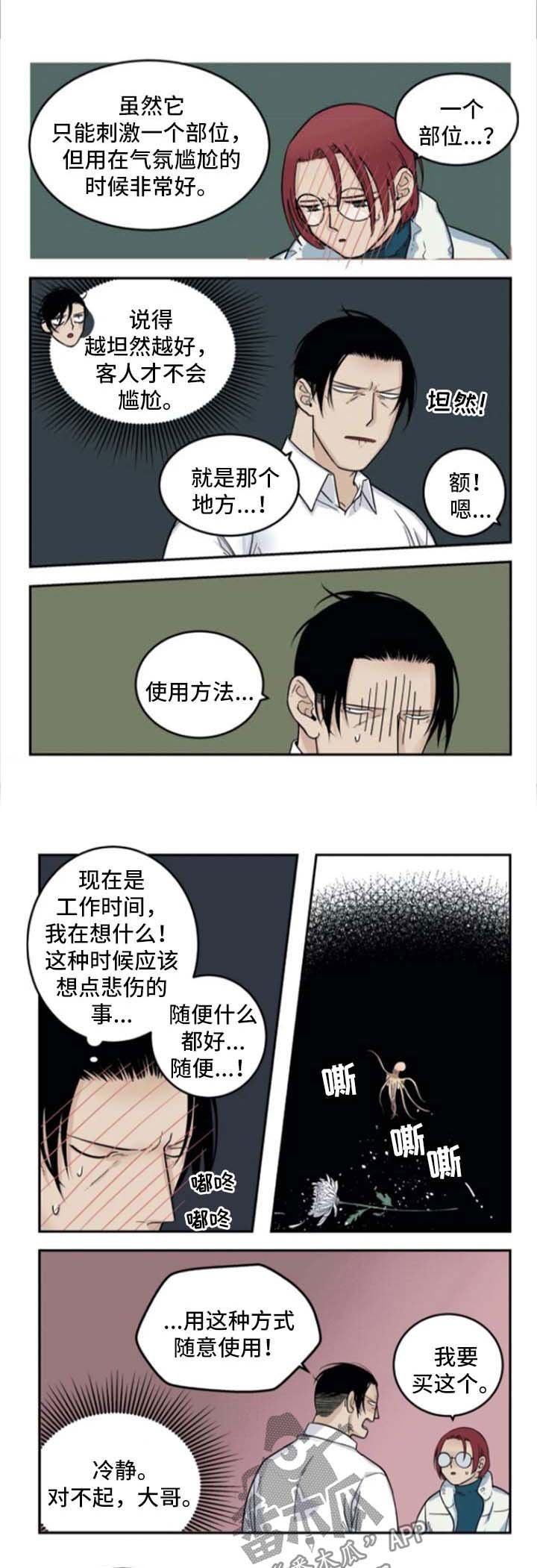 第32章：介绍商品