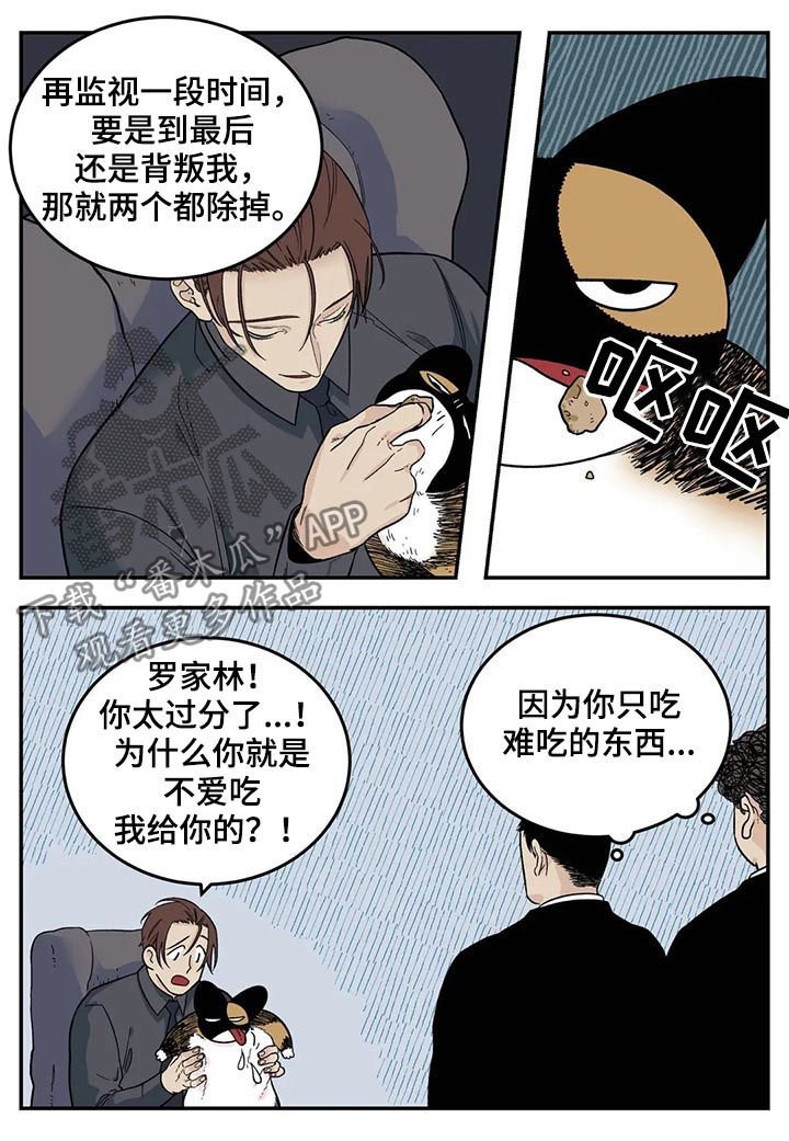 第37章：为我考虑