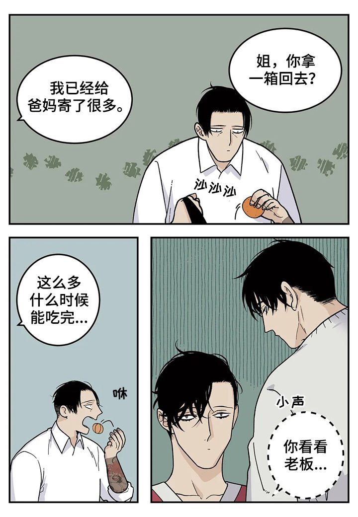 第48章：橘子