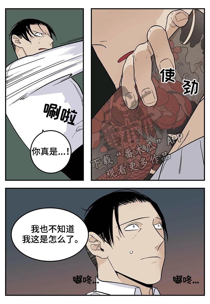 第50章：张德培