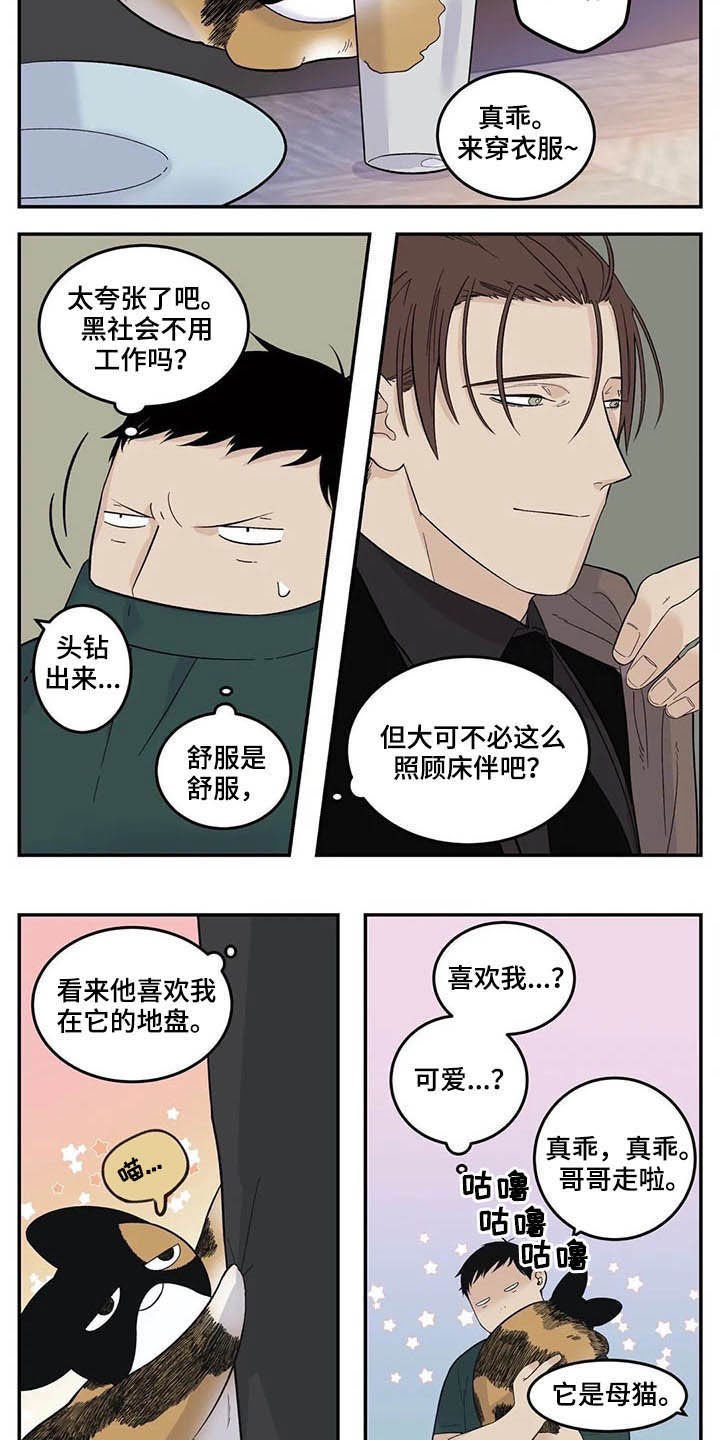 第62章：粗鲁