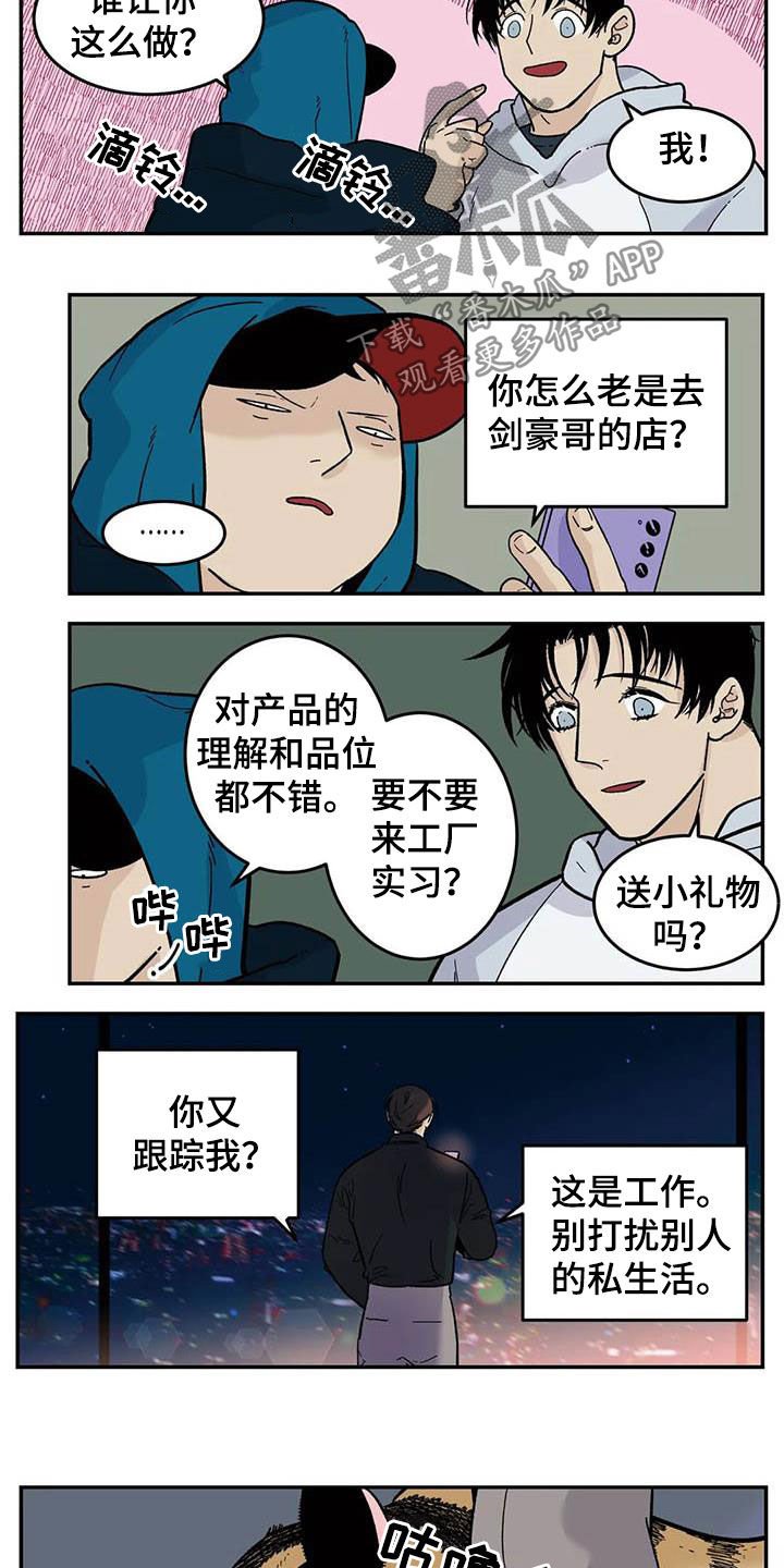 第69章：流浪动物