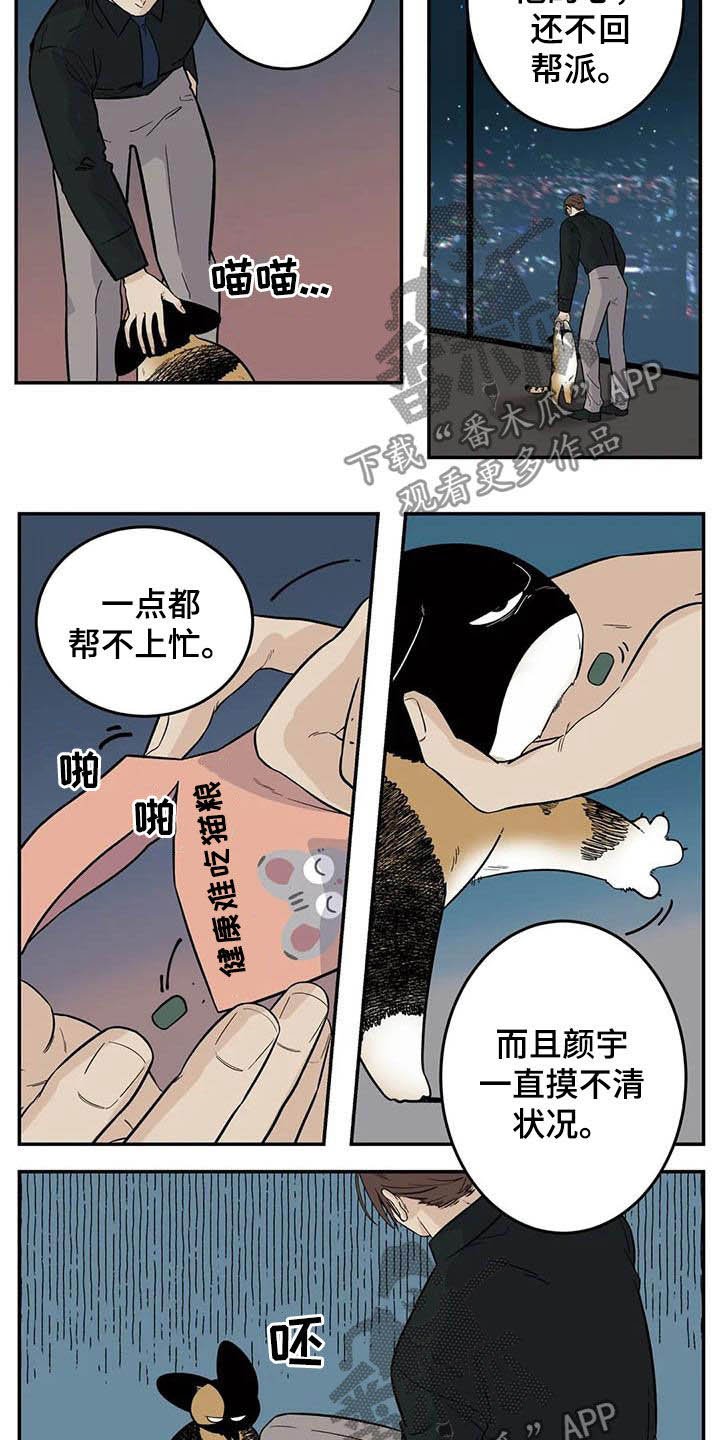 第69章：流浪动物