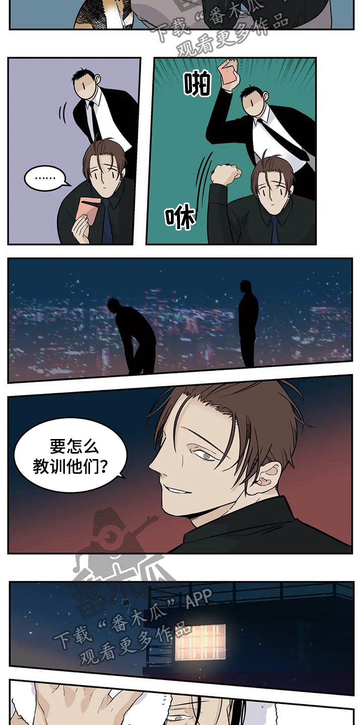 第69章：流浪动物