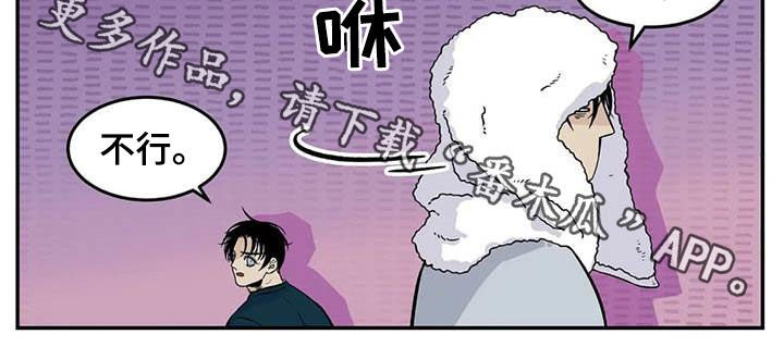 第69章：流浪动物