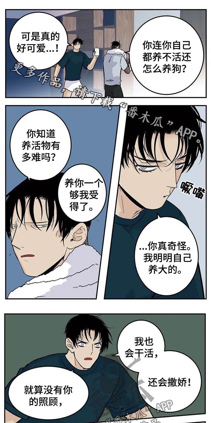 第70章：一天一次亲亲