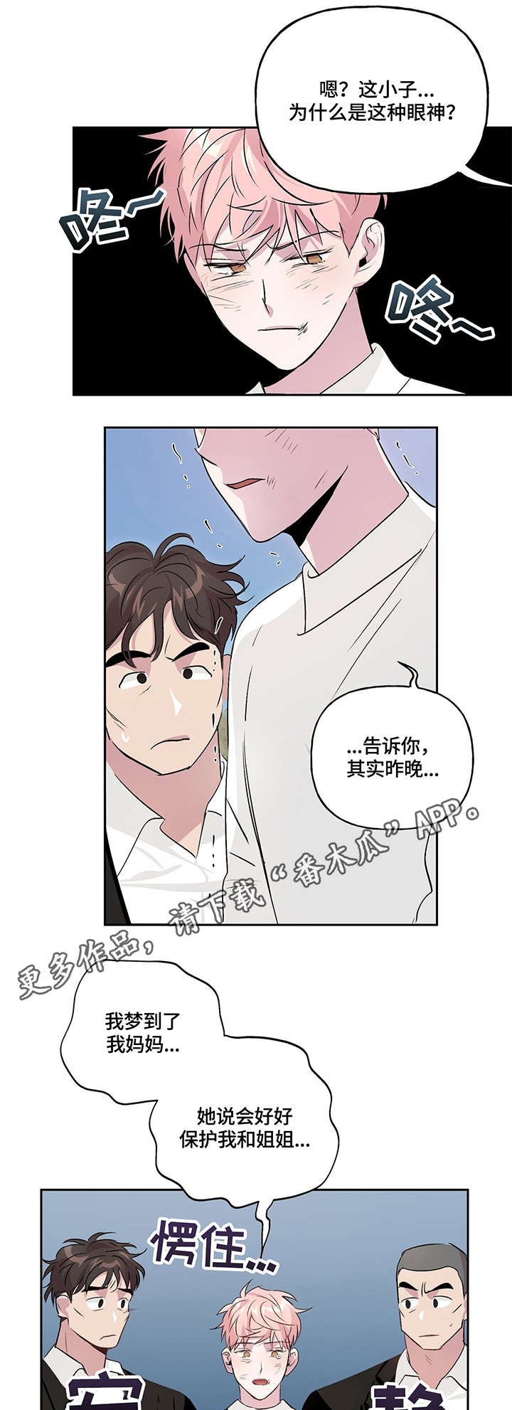第12章：调查