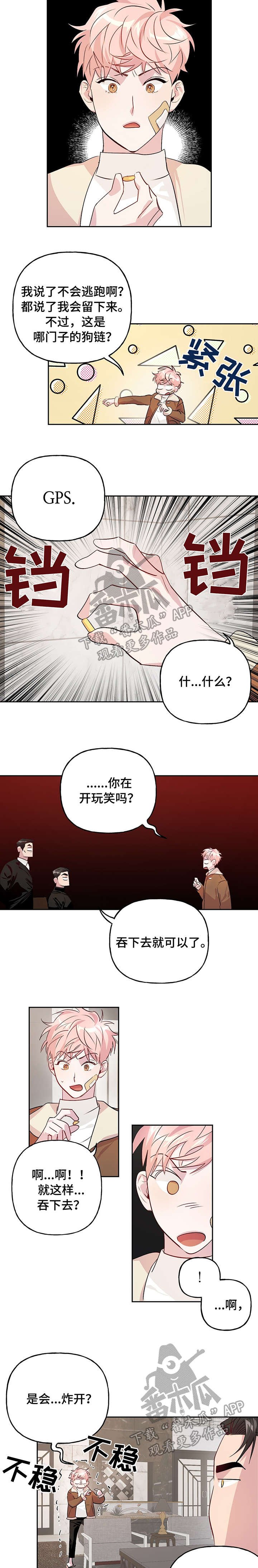 第16章：追踪器