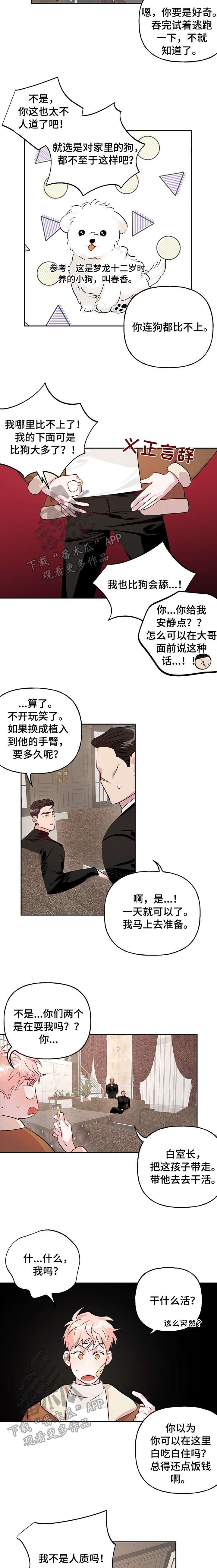 第16章：追踪器