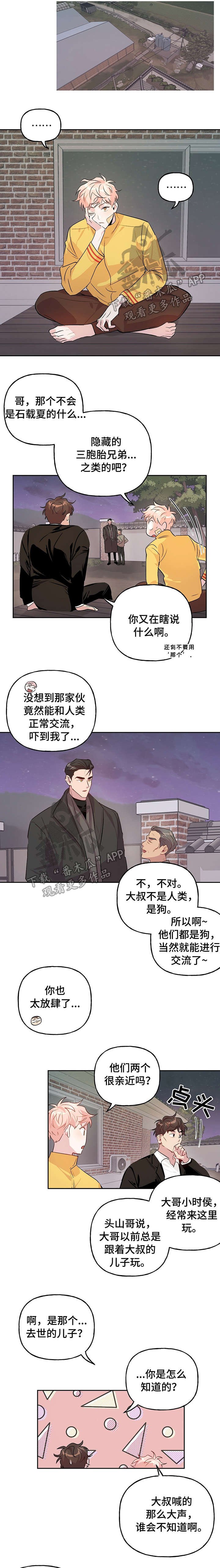 第19章：企图