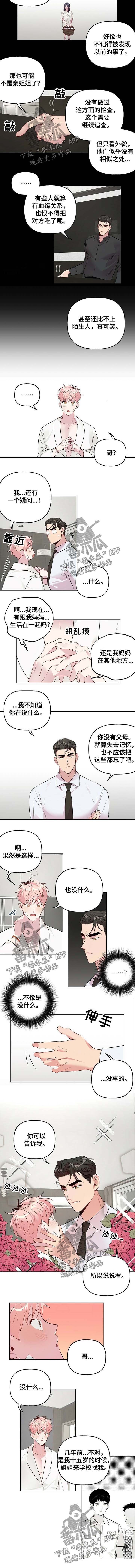 第28章：该死的