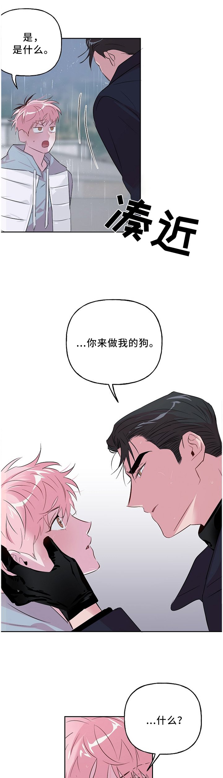第42章：忠犬