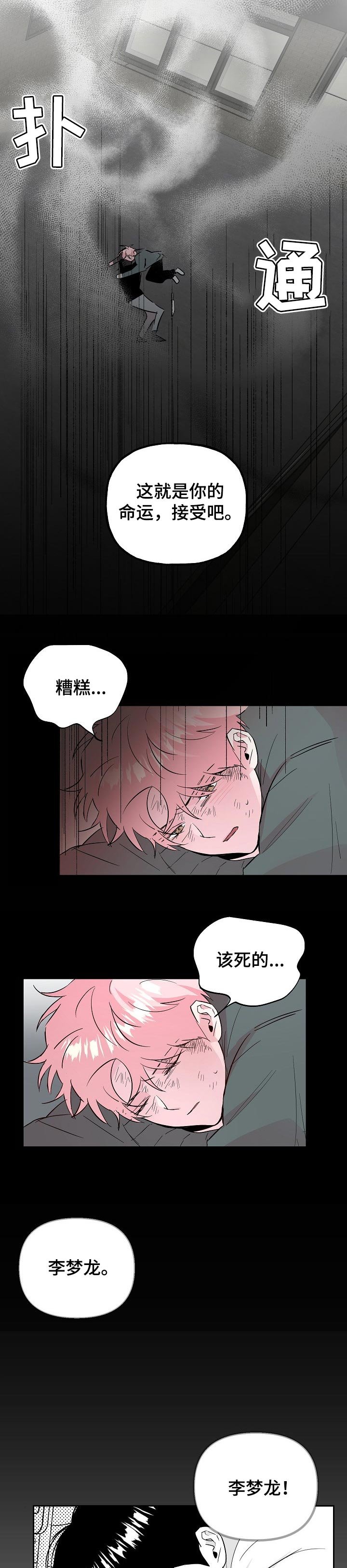第89章：【第二季】适合花的女人