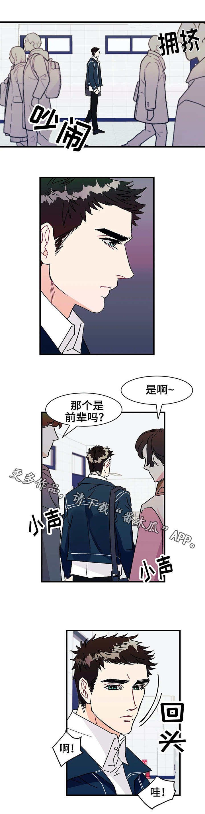 第13章：粉丝