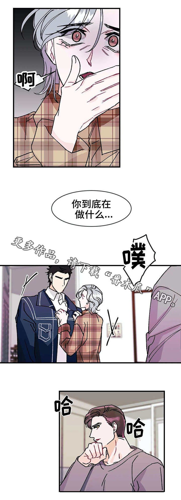 第17章：惊喜
