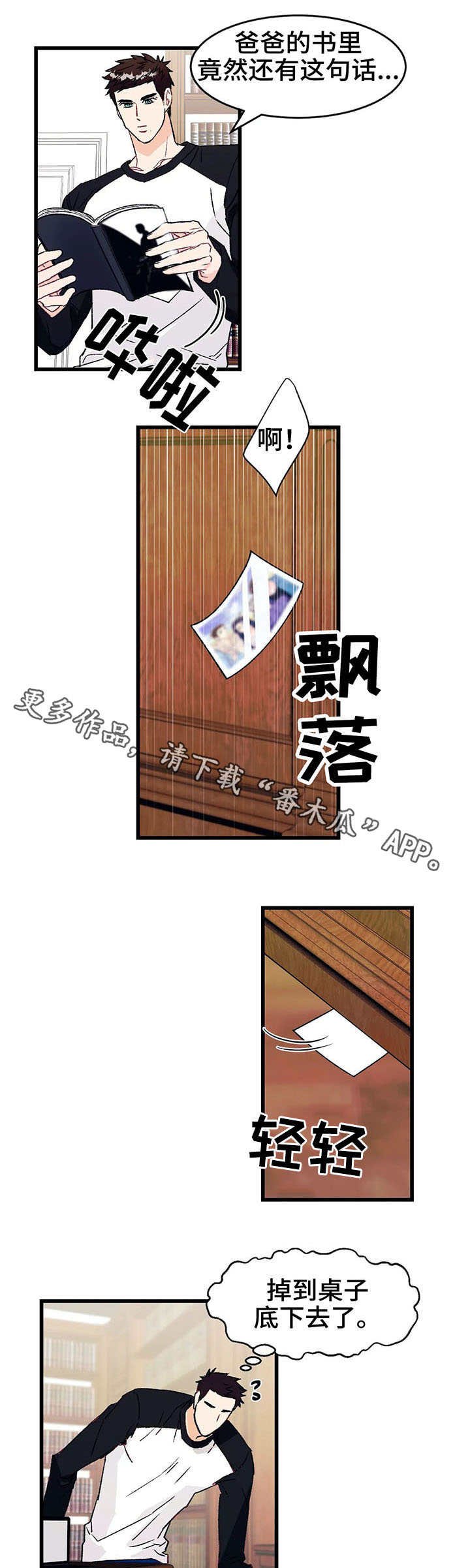 第7章：寻找