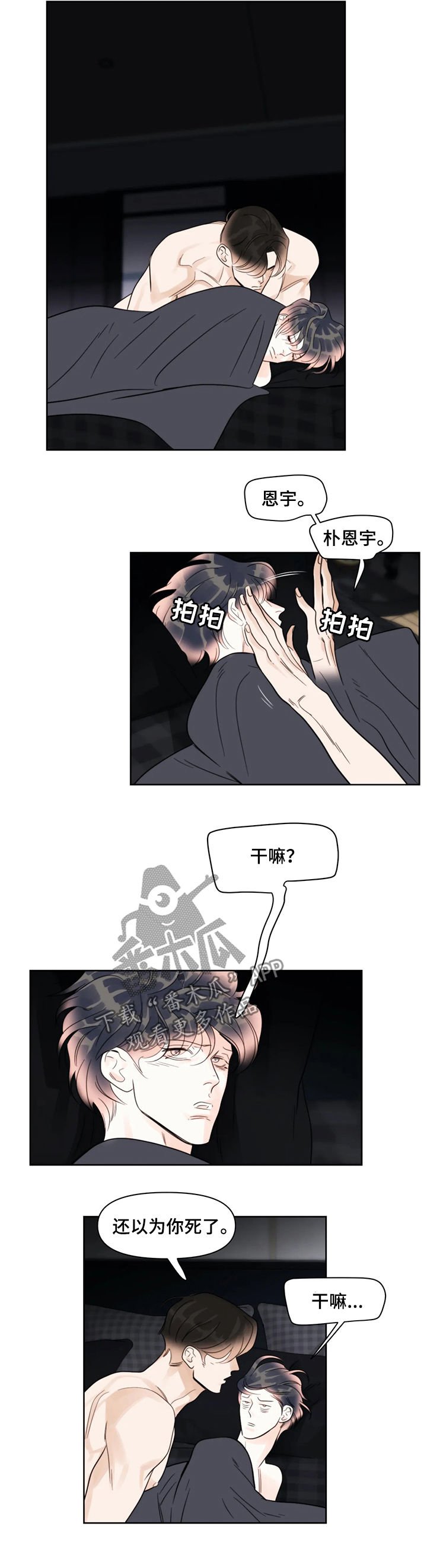 第40章：被子
