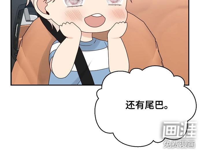 第109章：【番外完结】兔子衣服