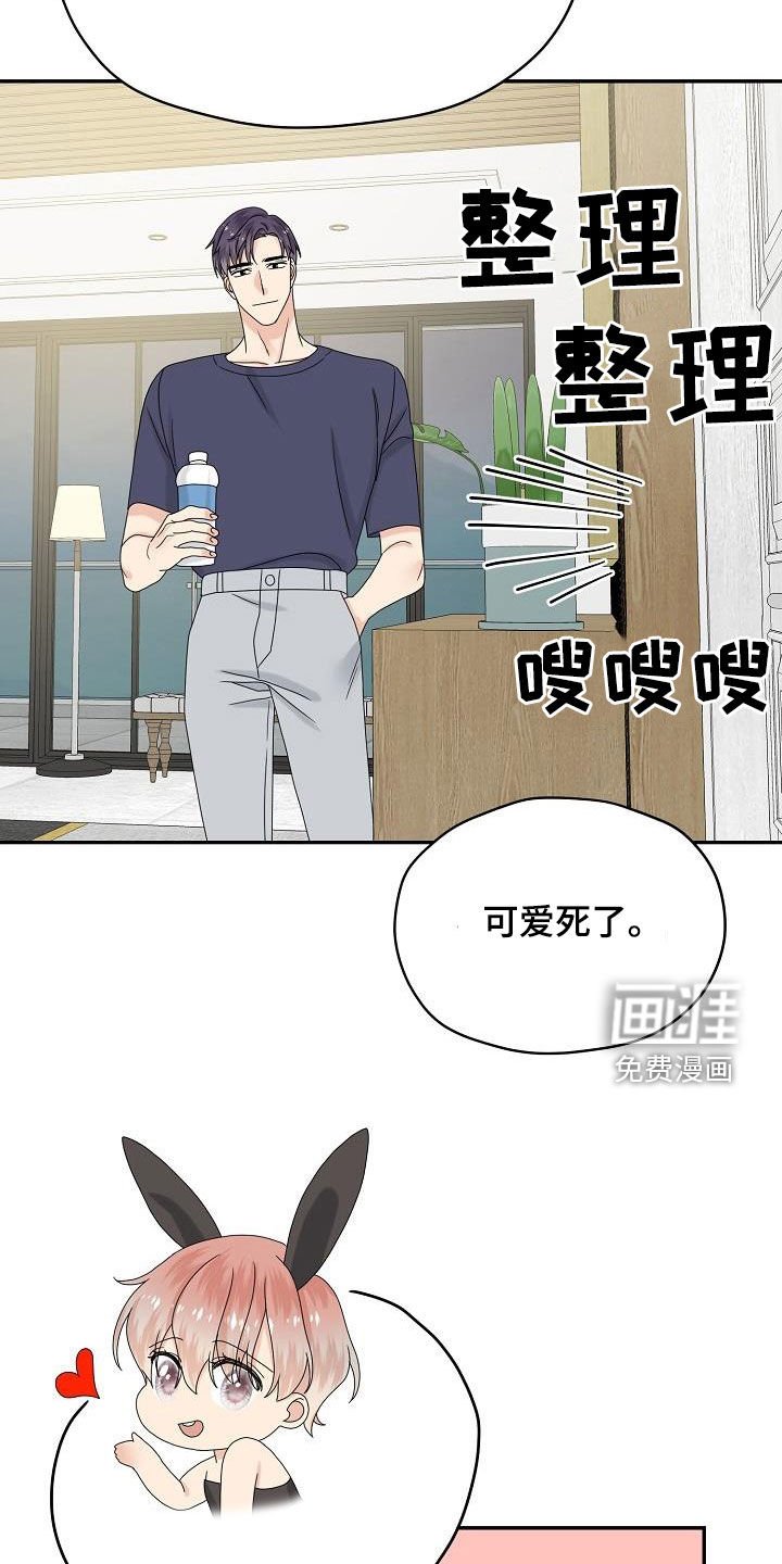 第109章：【番外完结】兔子衣服