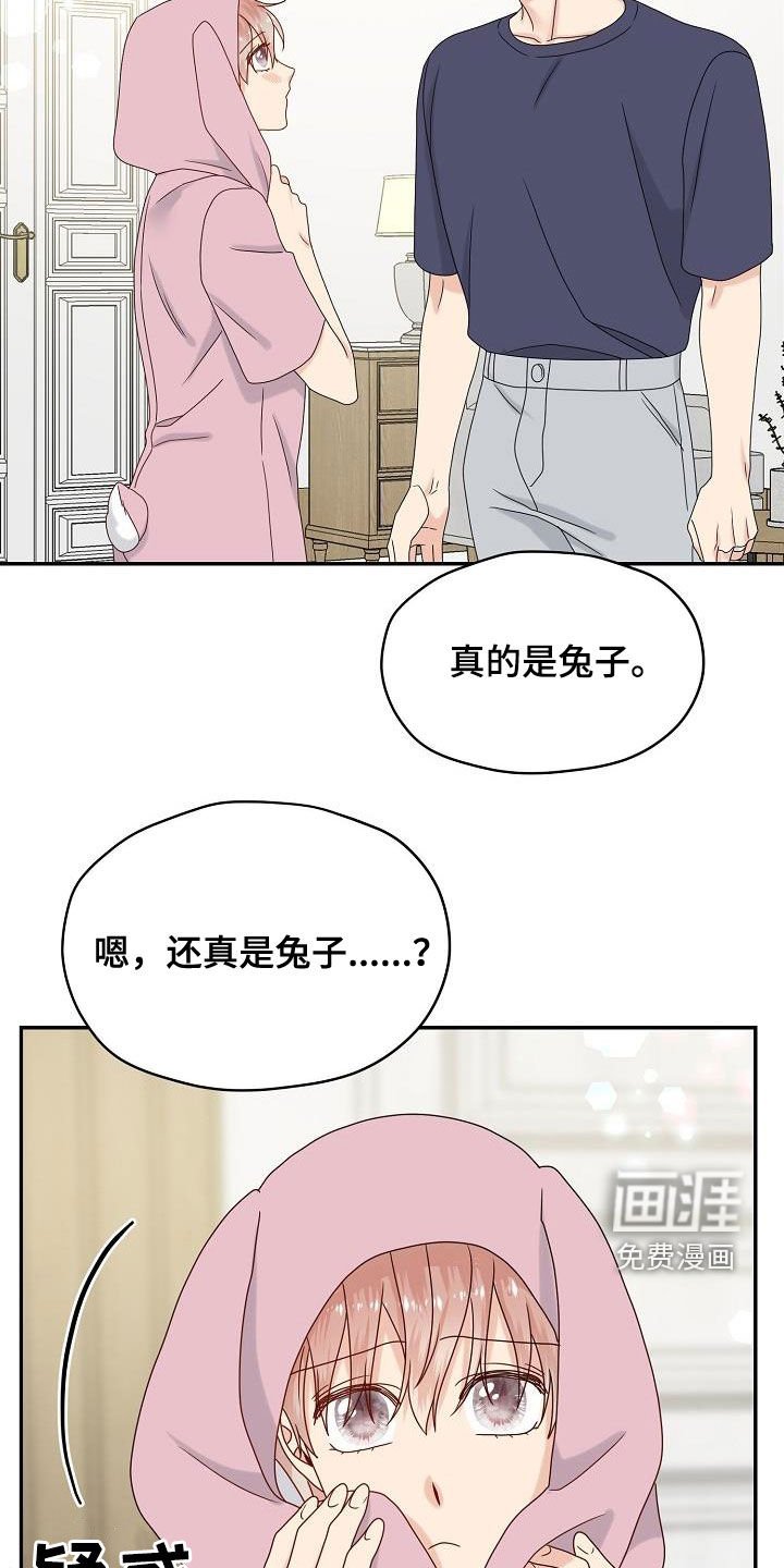 第109章：【番外完结】兔子衣服