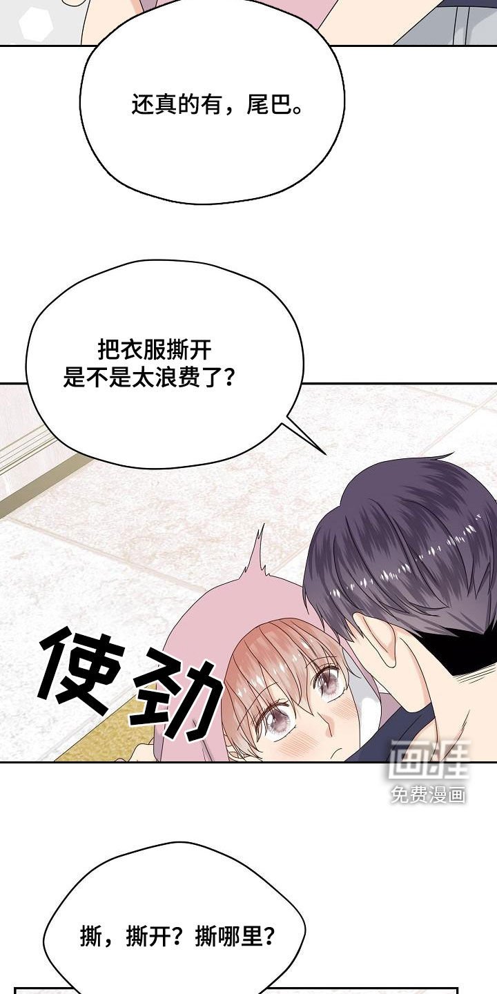 第109章：【番外完结】兔子衣服