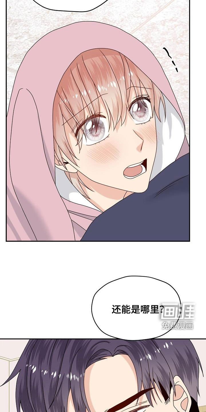 第109章：【番外完结】兔子衣服