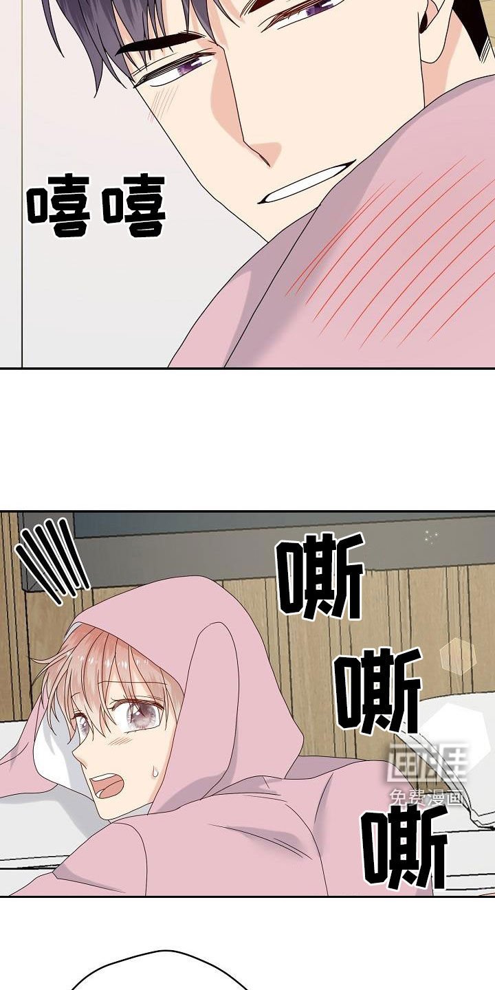 第109章：【番外完结】兔子衣服