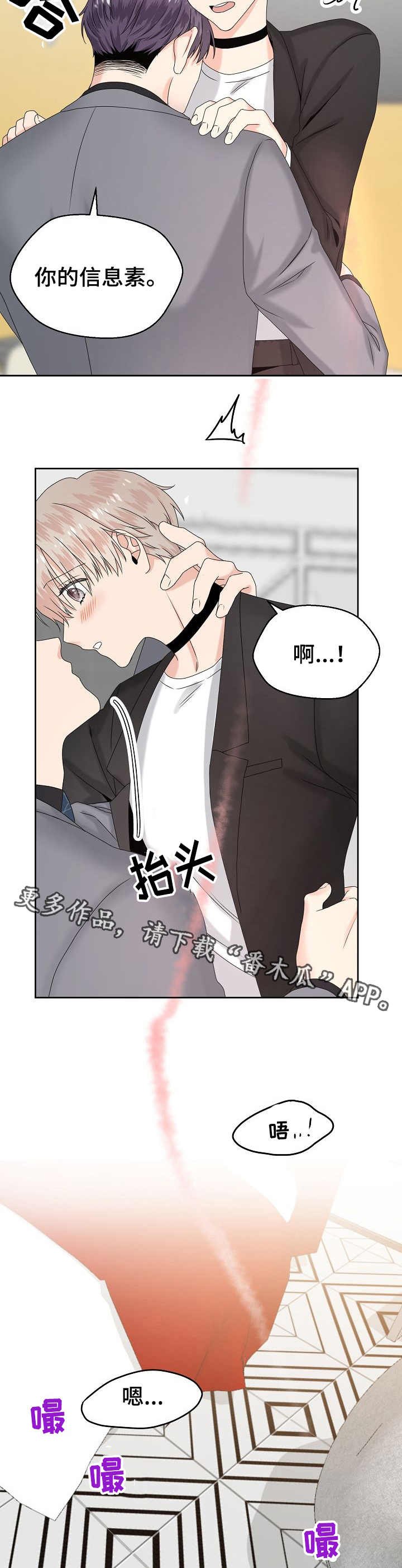 第12章：气味