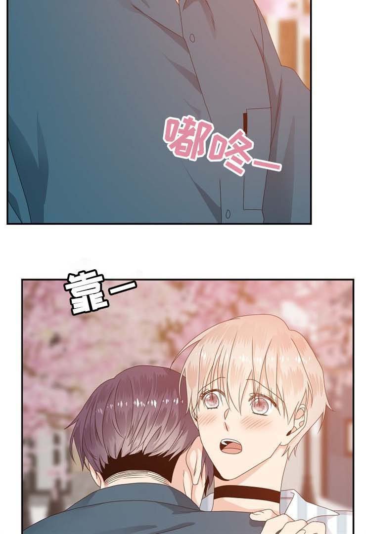 第31章：回答