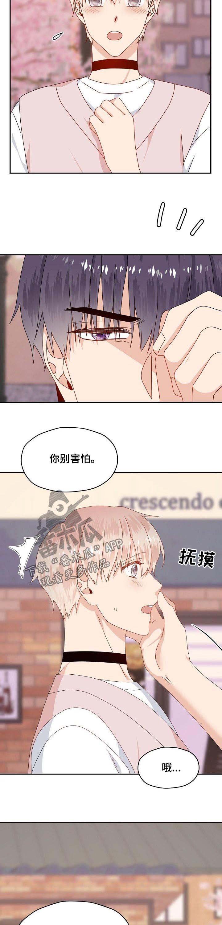 第40章：一起去