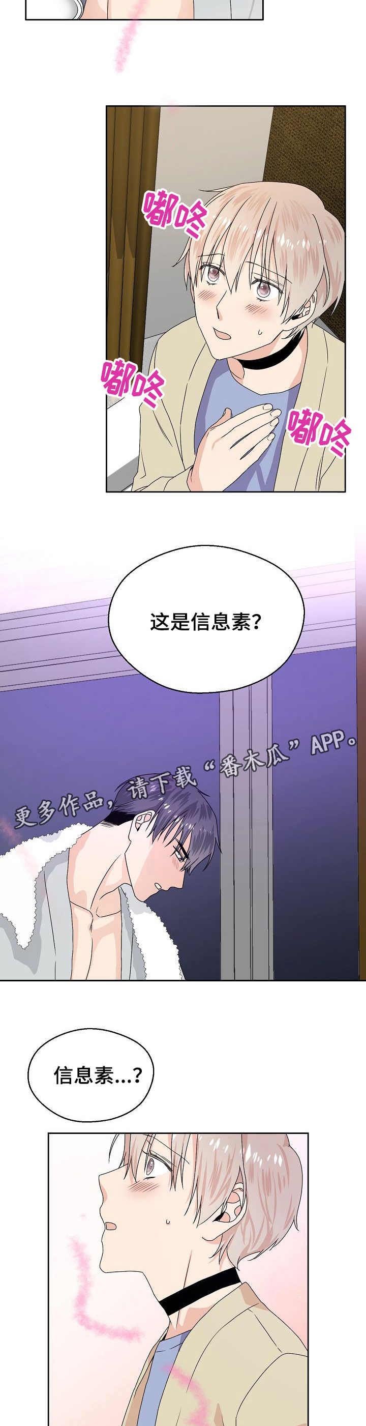 第5章：信息素