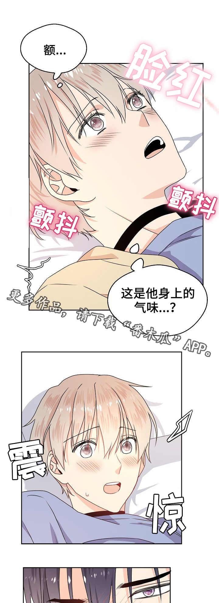 第5章：信息素