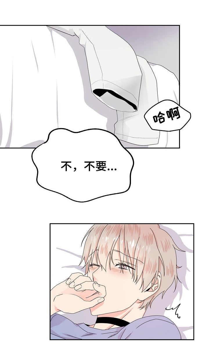 第5章：信息素